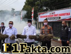 Polres Aceh Tengah Musnahkan 101,9 Kilogram Ganja, Kapolres Tegaskan Bandar Narkoba Jangan Coba Bermain di Takengon