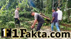 Angin Kencang Kembali Tumbangkan Pohon, Kapolsek Idi Tunong Pimpin Evakuasi