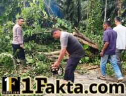 Angin Kencang Kembali Tumbangkan Pohon, Kapolsek Idi Tunong Pimpin Evakuasi