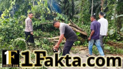 Angin Kencang Kembali Tumbangkan Pohon, Kapolsek Idi Tunong Pimpin Evakuasi