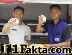 Peternakan Ayam Kampung Elba Jadi Bagian dari Pembinaan Kemandirian Warga Binaan untuk Mendukung Program STAR Proaksi Kemenimipas