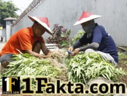 Pembinaan Kemandirian Warga Binaan melalui Budidaya Sayuran Menjadi Langkah Nyata dalam Mengembangkan Keterampilan dan Mendukung Ketahanan Panganp