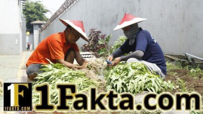 Pembinaan Kemandirian Warga Binaan melalui Budidaya Sayuran Menjadi Langkah Nyata dalam Mengembangkan Keterampilan dan Mendukung Ketahanan Panganp